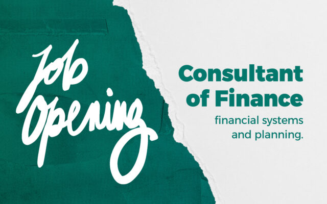 Consultant of Finance