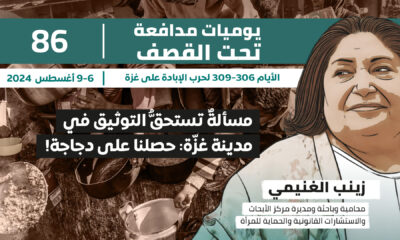 يوميات مدافعة تحت القصف: مسألة تستحق التوثيق في مدينة غزة: حصلنا على دجاجة!